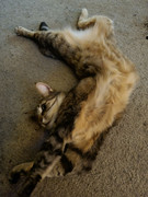 306930271_610362710639697_212246152564856997_n