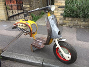 49775692_2150760458314099_4444124711256850432_n_2150760454980766