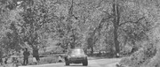 Targa Florio (Part 4) 1960 - 1969  - Page 12 1967-TF-230-011