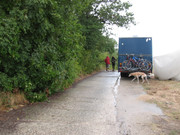 Teknival BG. 2017 (100)