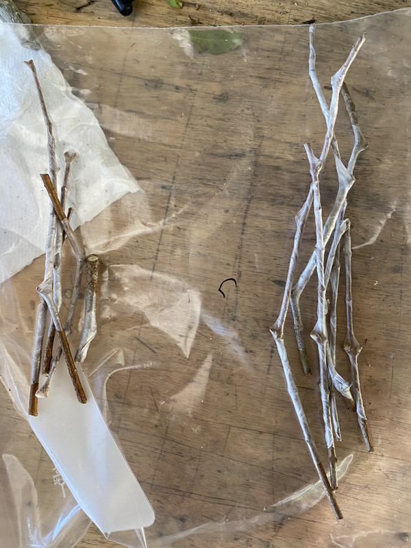 94720E72-02FB-46EA-AEFF-378FDD338942