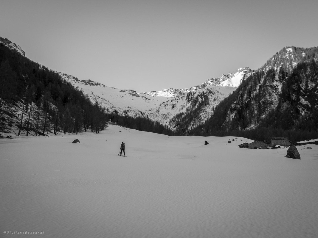 DSCF0828
