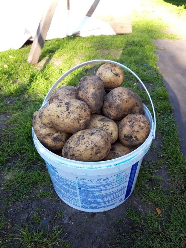 IMG-20190924-WA0001