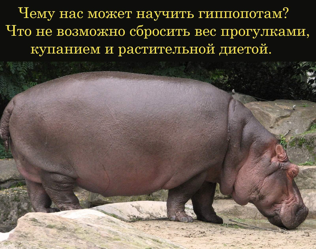 161953454_3697440307038863_5417415079125980676_o