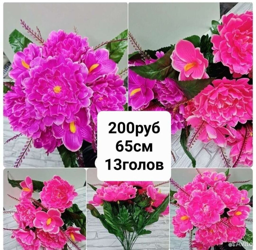https://i.postimg.cc/F1tX2MfY/IMG-20240409-073629.jpg