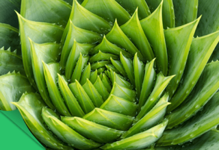 Use the golden ratio to quickly create stunning icon sets
