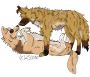 D2E36DA4-CC0A-448F-91D8-7E7D53B2D60C