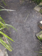 IMG_20221008_123406_Erased