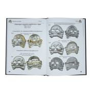 IMG-db426f9e21ab1f6fb2d533048eba11f4-V