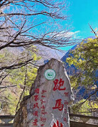 [图: 7e4ea3cc17276f69a3fdd147bacd5e35.jpg]