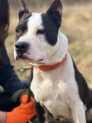 IMG_20230415_233155_866