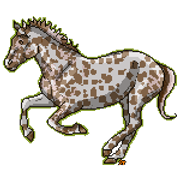 leopardappypixel