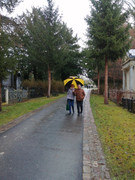 IMG-20211205-110141.jpg