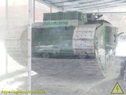 DSCN5363