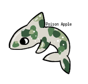 2025-04-17-0t4-Kleki