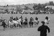 IMG-0092