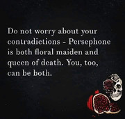 dont worry about contradicitons