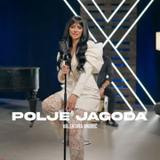 [Slika: Polje-jagoda-(Acoustic-Cover-2023).jpg]