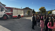 IMG-8457