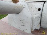 IMG-9787