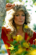 Farrah-Fawcett-mb27