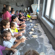 IMG-8510
