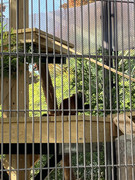 C0518494-C9EA-489F-9A63-5598C616FD7A