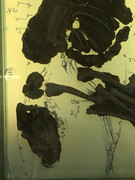 C2B74622-0877-4598-A6D9-5A70D273AE3B