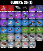 gliders-comp