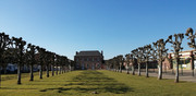 IMG-20210228-154001-hornoy.jpg
