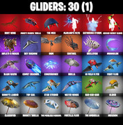 gliders-comp