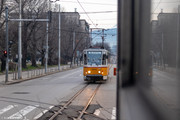 IMG-5173
