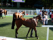 DSC05701.jpg