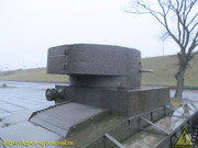 IMG-9559