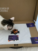 20210219_152021457_iOS