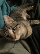 935E2320-6FBF-4E7F-92AD-672904EF192F