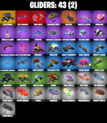 gliders-comp