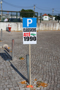 IMG-2921