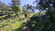 24-01022025