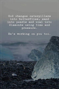 god changes caterpillars
