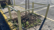 IMG-9934