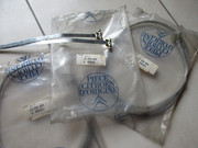 IMG-5644.jpg