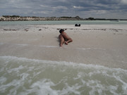 DSC01347