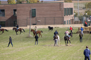 IMG-0026