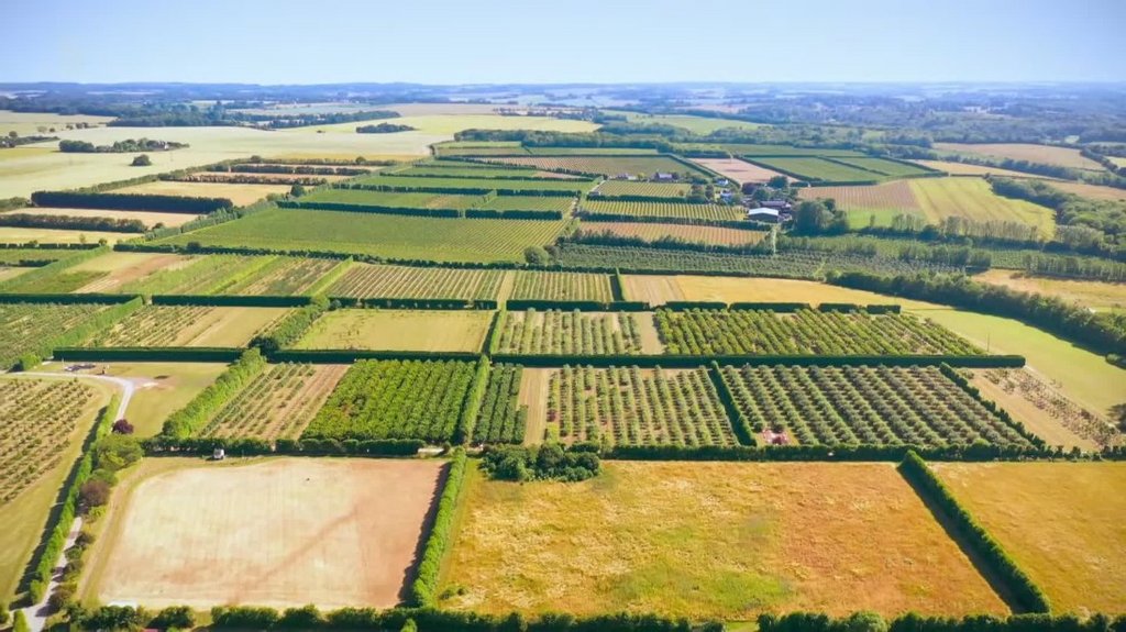 [Image: b2hlmauo186b.jpg]