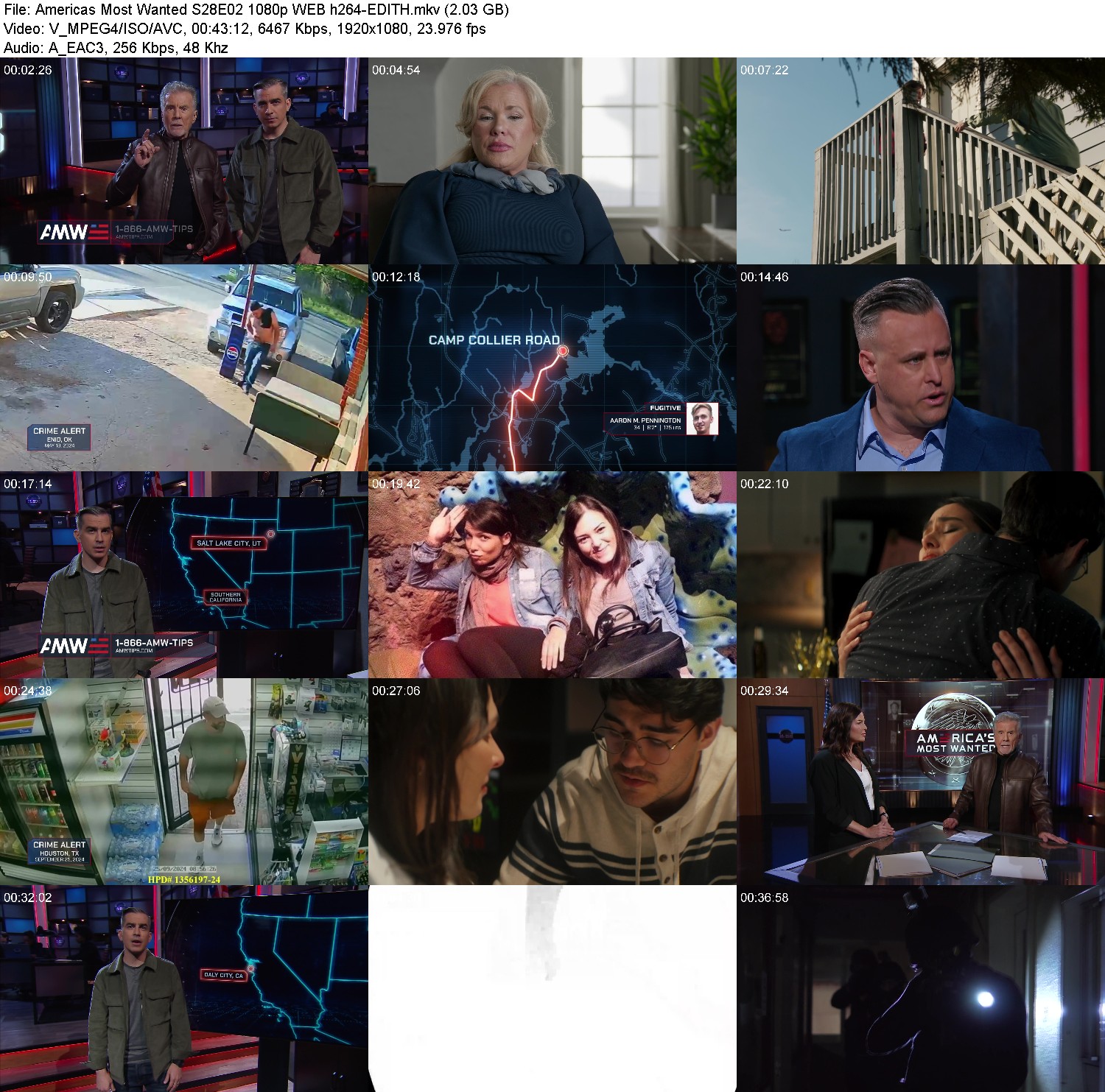 [Image: oja9ew3po61w.jpg]