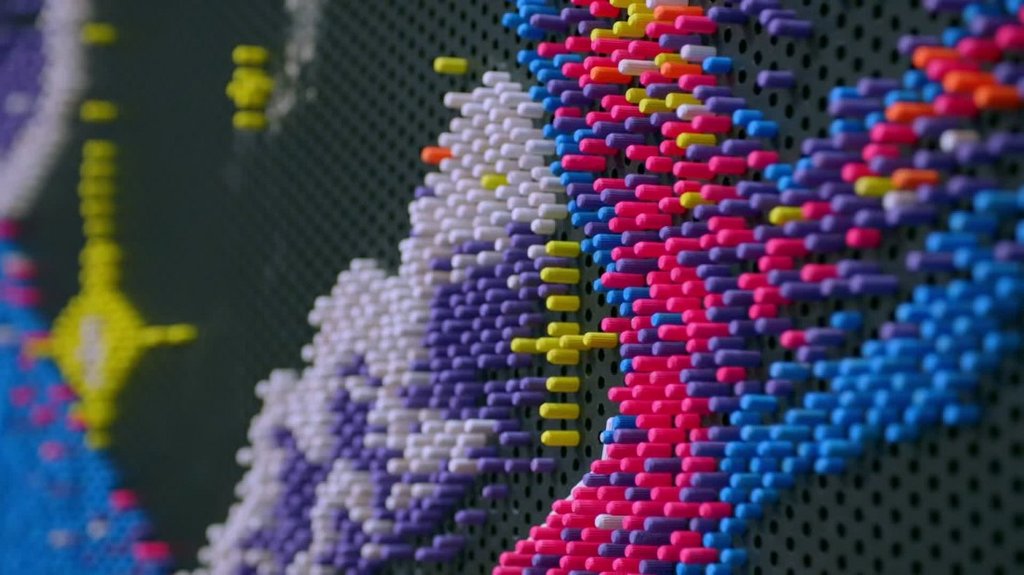 [Image: bp2d4j9ba6eo.jpg]