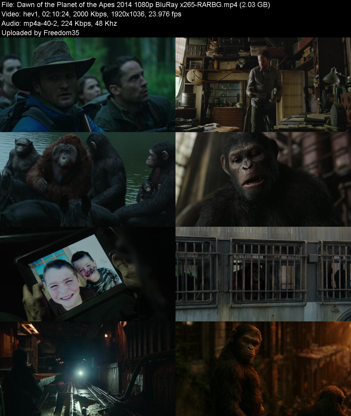Dawn-of-the-Planet-of-the-Apes-2014-1080