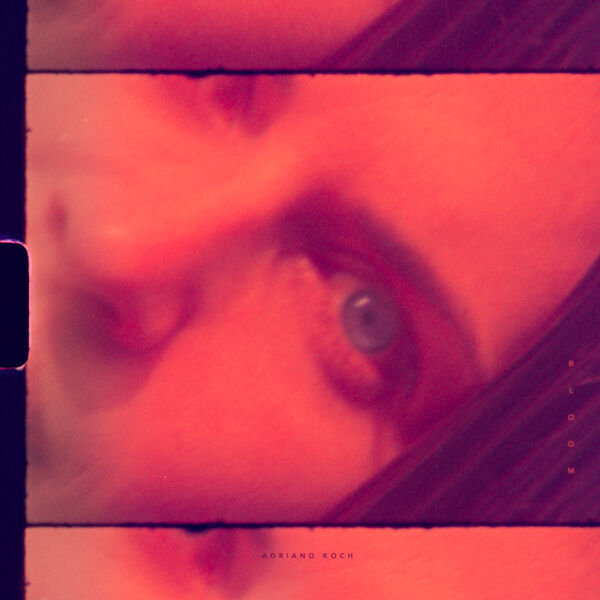 [Image: 1dk99l7rbzse.jpg]