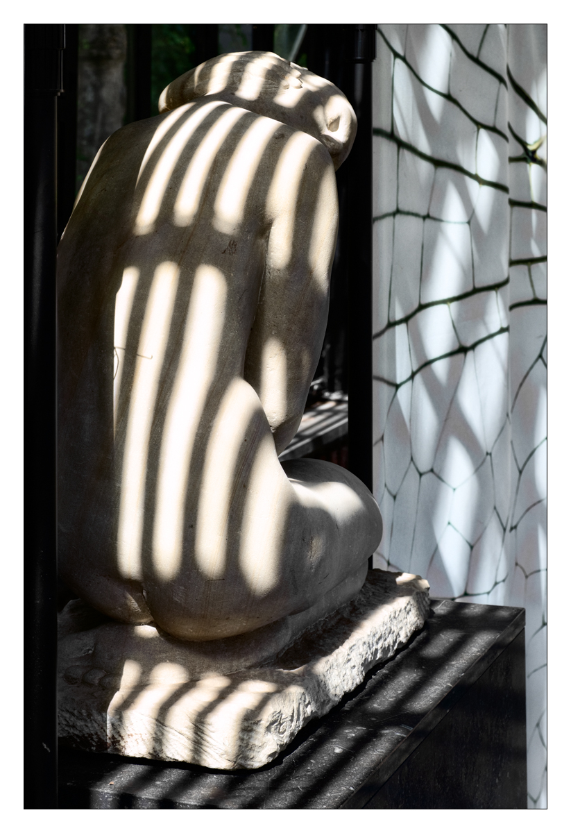 Fotografie